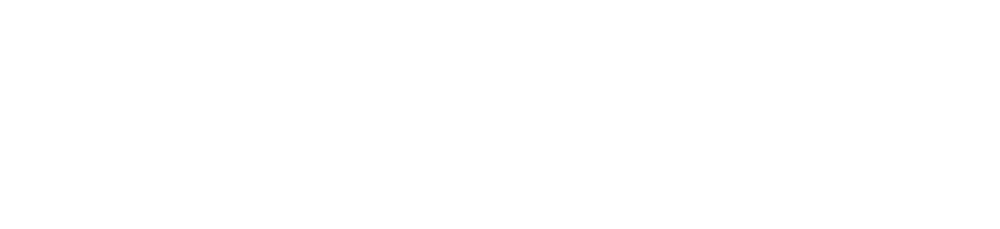 CA88能源集团股份有限公司